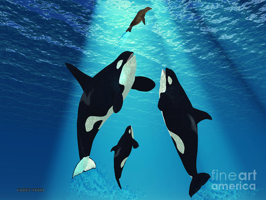 900x675 Killer Whales Painting By Corey Ford - Orca Whale Painting