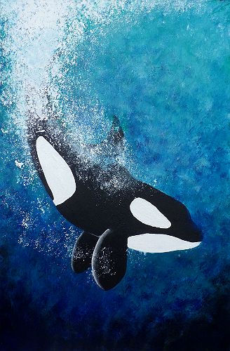 328x500 Orca - Orca Whale Painting