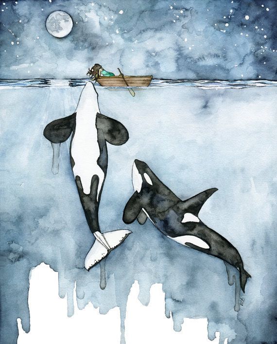 570x708 Orca Painting, Watercolor Painting, Whale Painting, Orca And Girl - Orca Whale Painting