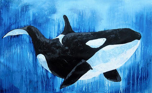600x369 Orca Whale Painting By Ben Walker - Orca Whale Painting