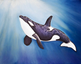 340x270 Orca Pastel Art Etsy - Orca Whale Painting