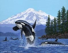 236x182 Orcas Killer Whales San Juan Island Washington Mt Baker Painting - Orca Whale Painting