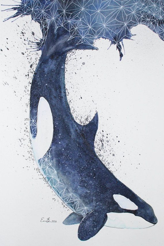 570x855 Original Watercolour Painting Orca By Eriksterlingsherman On Etsy - Orca Whale Painting