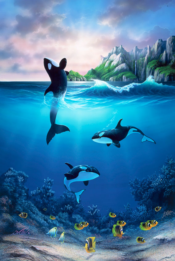568x850 Orca Whales Playing Paintings By Artist David Miller - Orca Whale Painting