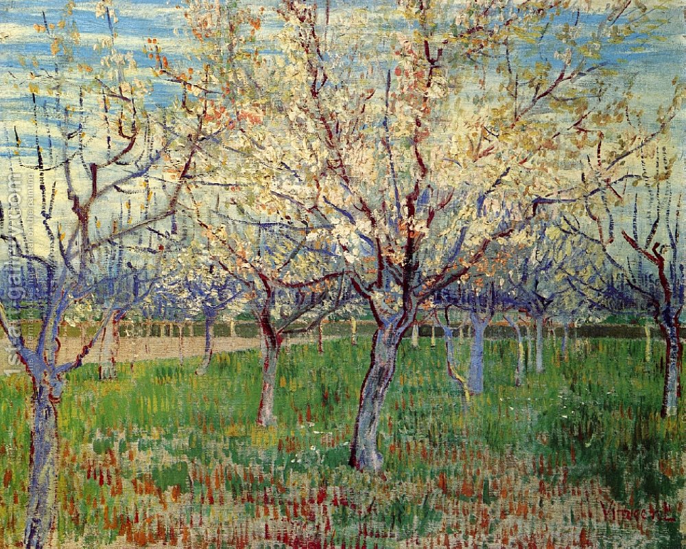 1000x800 Orchard With Blossoming Apricot Trees Vincent Van Gogh - Orchard Painting