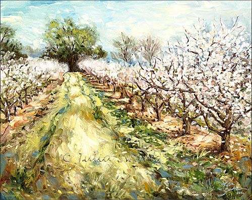 500x398 Spring Orchard - Orchard Painting