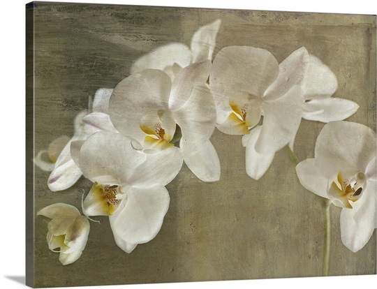 540x414 Gorgeous Design Orchid Wall Art Home Decor Ideas Print Poster - Orchid Canvas Painting