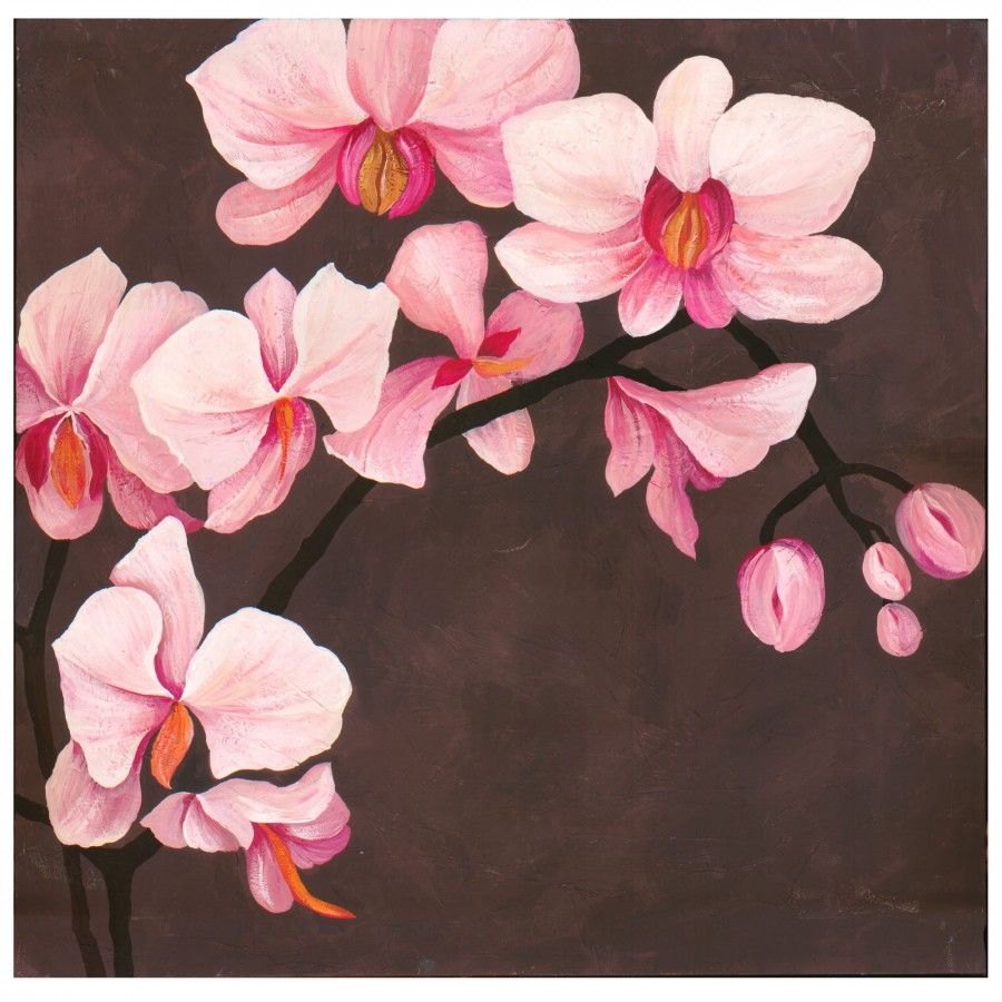 900x900 Graham Amp Brown Hand Painted Orchid Canvas Art - Orchid Canvas Painting