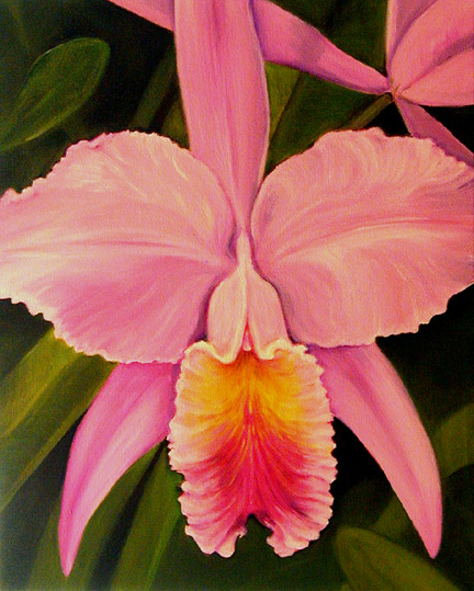 432x539 Orchid Paintings In Oil By Key West Artist Janis Stevens - Orchid Canvas Painting
