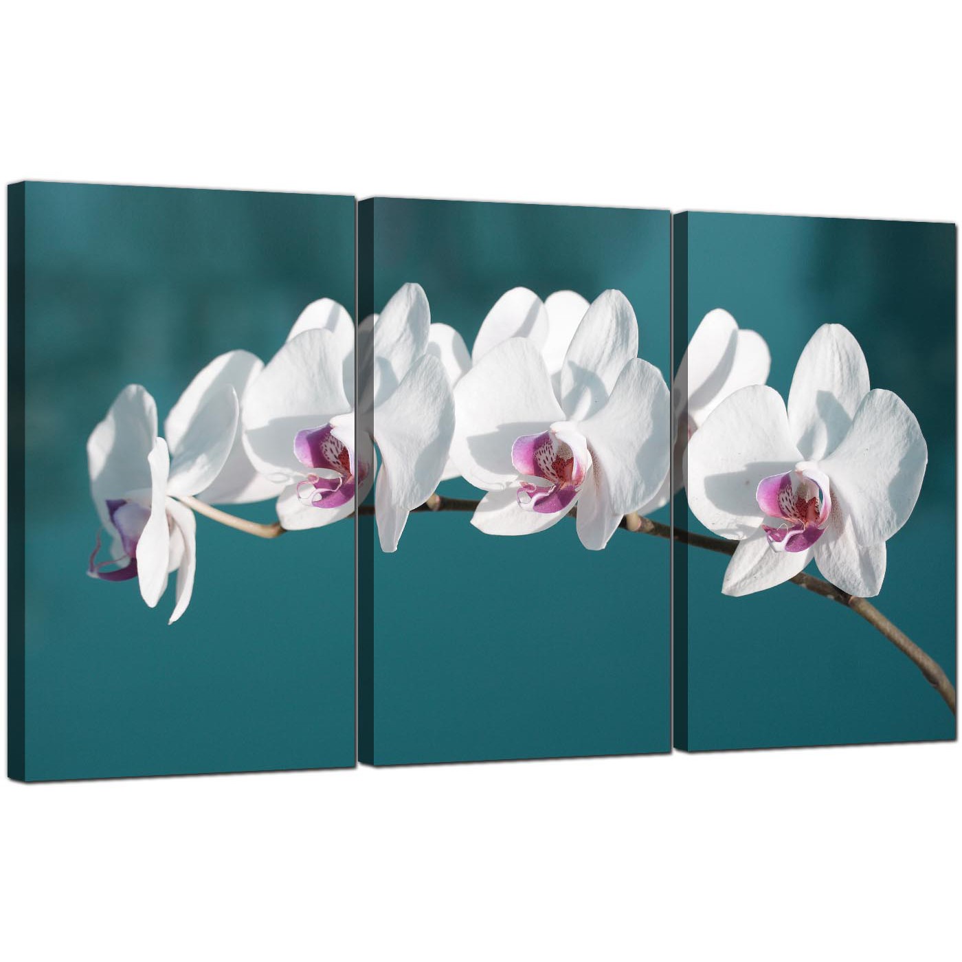 Orchid Canvas Painting at PaintingValley.com | Explore collection of ...