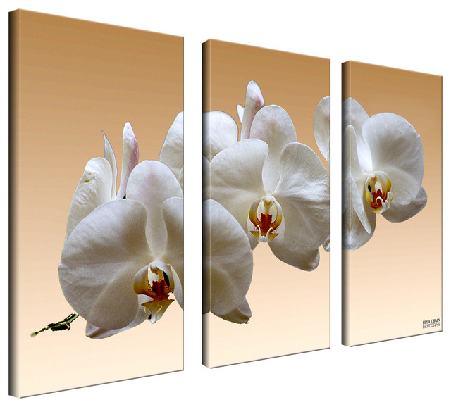 640x578 Ready2hangart Bruce Bain - Orchid Canvas Painting