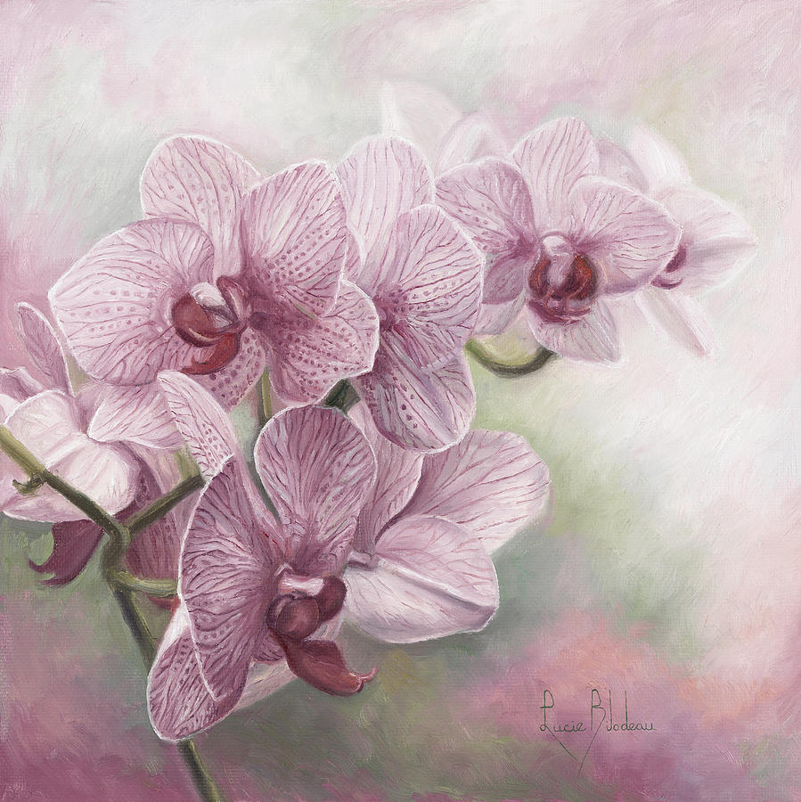 899x900 Graceful Orchids Painting By Lucie Bilodeau - Orchid Flower Painting