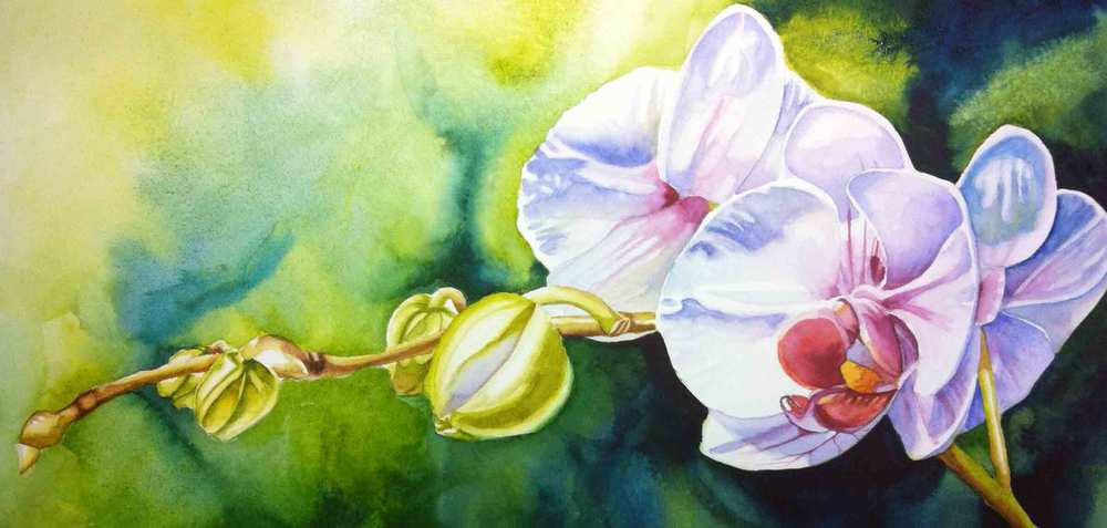1000x477 Orchid Painting Tropical Flowers Workshop Dog Tired Studio - Orchid Flower Painting