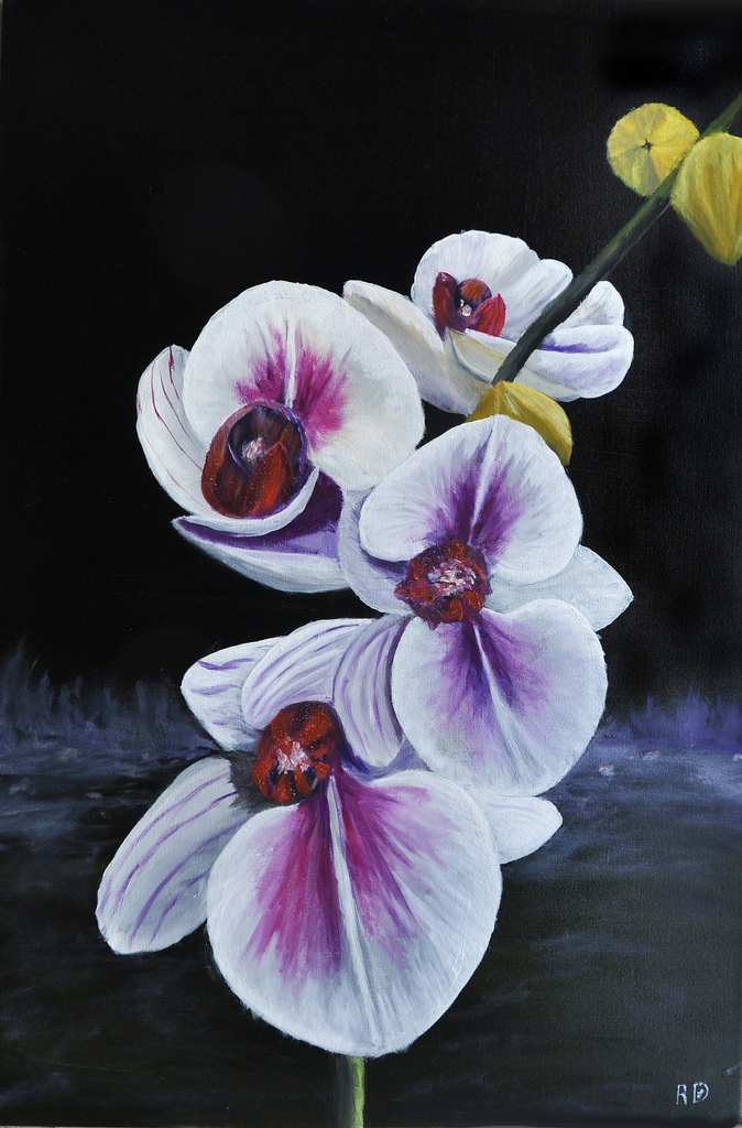 674x1024 Oil Painting 20 X 30 Of Taiwan Orchid Flowers Oil - Orchid Flower Painting