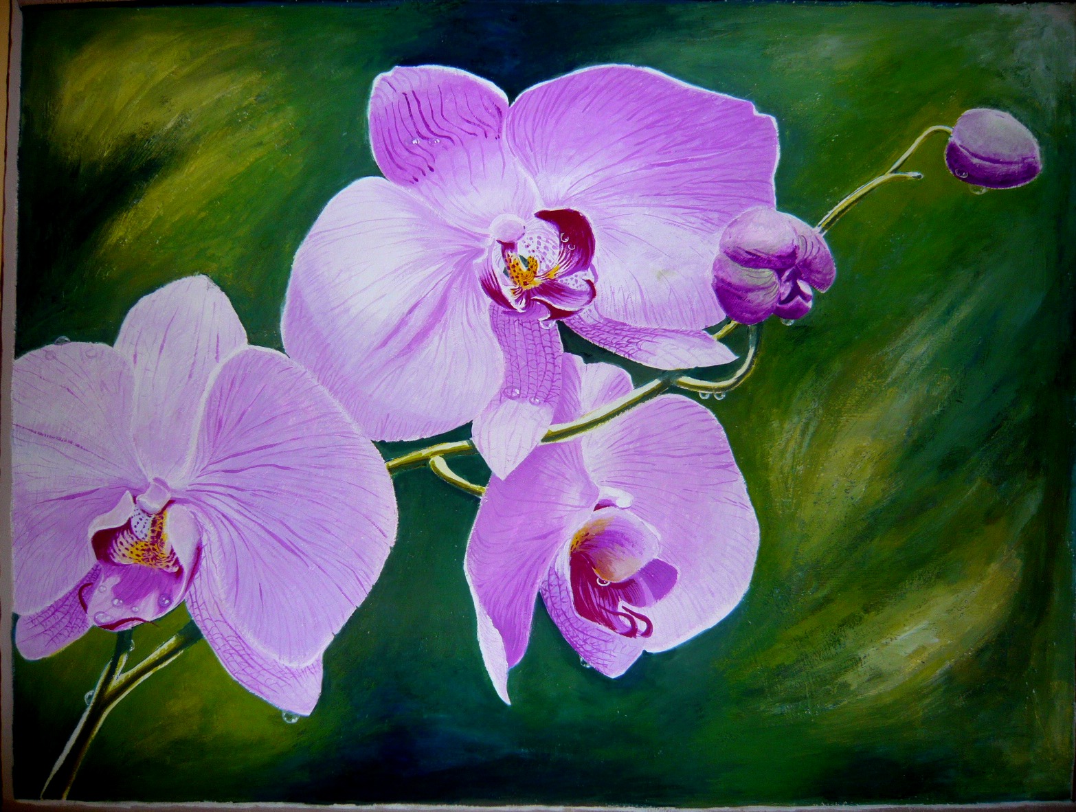 1566x1182 Orchid A Painting A Week - Orchid Flower Painting