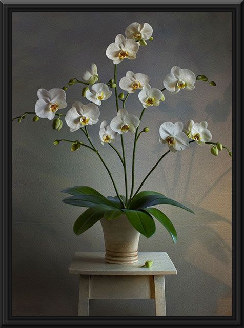 Orchid Flower Painting At Paintingvalley Com Explore Collection