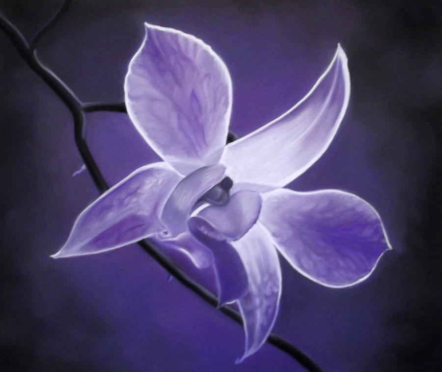 900x758 Purple Orchid Painting By Norfleet Edwards - Orchid Flower Painting