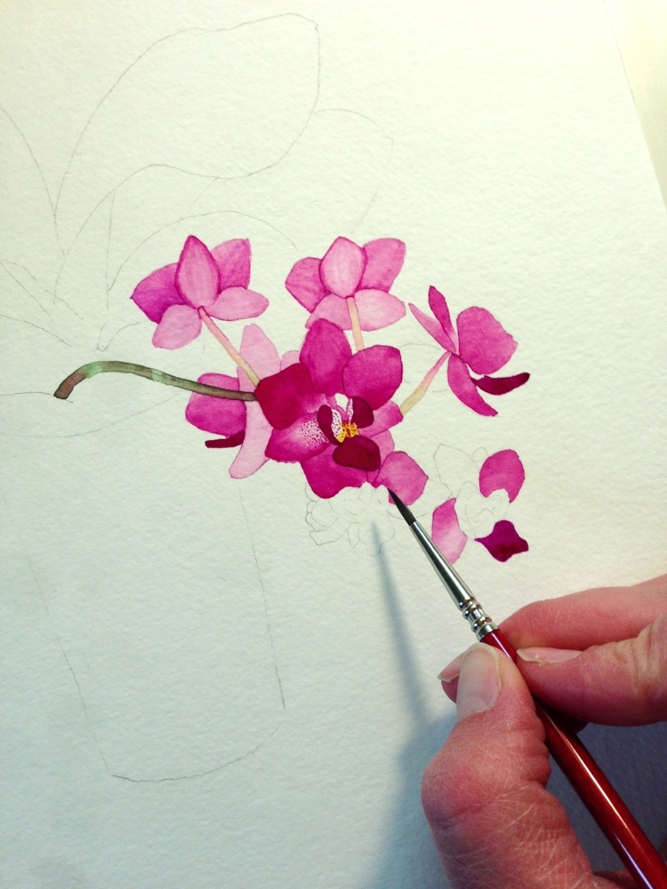 750x1000 Purple Orchid Watercolor Painting My Giant Strawberry - Orchid Flower Painting