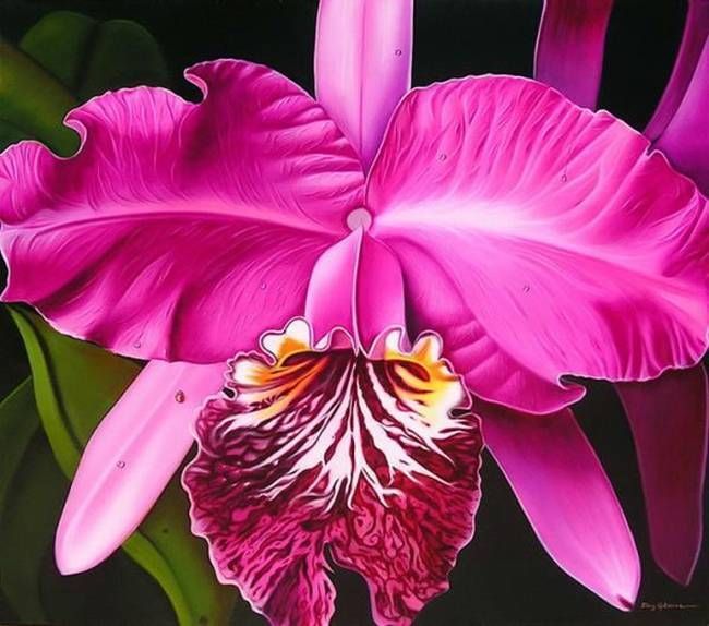 650x574 The 852 Best Flower Art (Orchids) Images On Flower - Orchid Flower Painting
