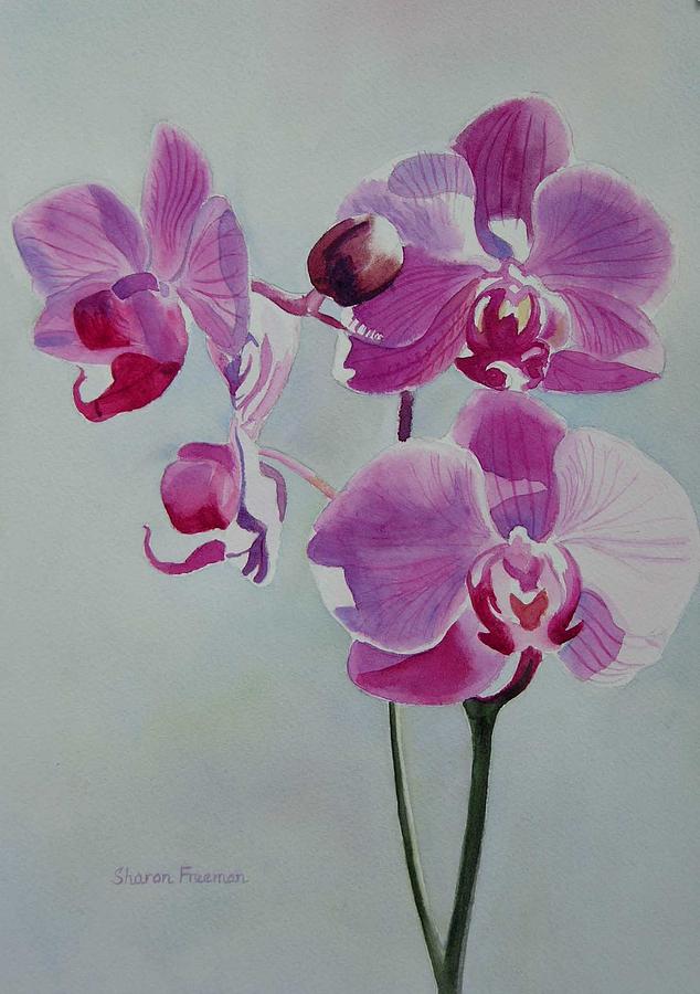 634x900 Violet Orchid Painting By Sharon Freeman - Orchid Flower Painting