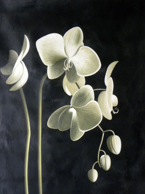 480x640 Black White And Sage Orchid Oil Painting - Orchid Flower Painting