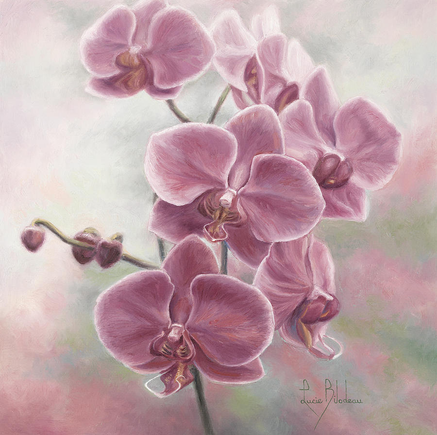900x896 Elegant Orchids Painting By Lucie Bilodeau - Orchid Flower Painting