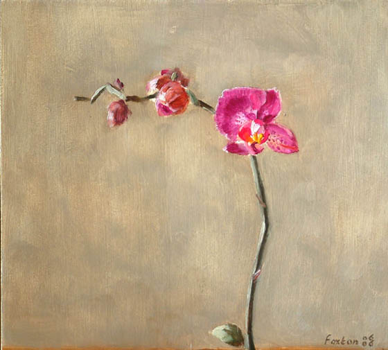 560x505 Orchid, A Still Life Painting In Oils On Panel - Orchid Painting