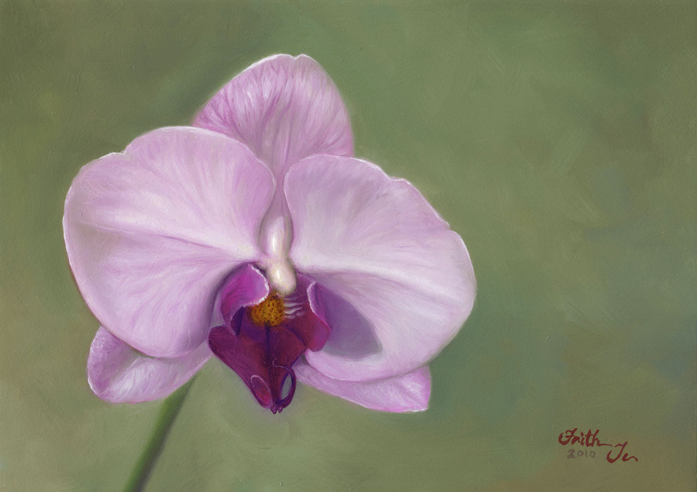 1414x1000 Phalaenopsis Orchid Painting - Orchid Painting