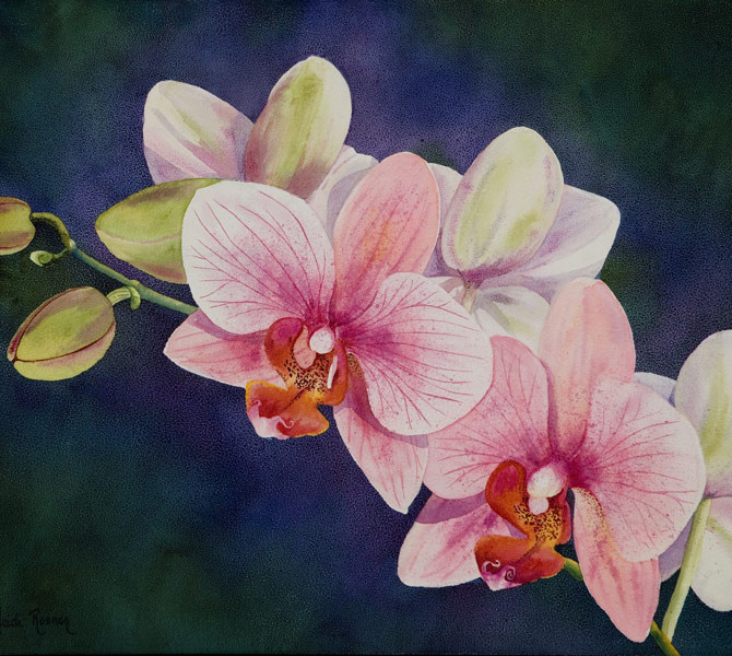 670x600 Rare Beauty Orchid Watercolor - Orchid Painting
