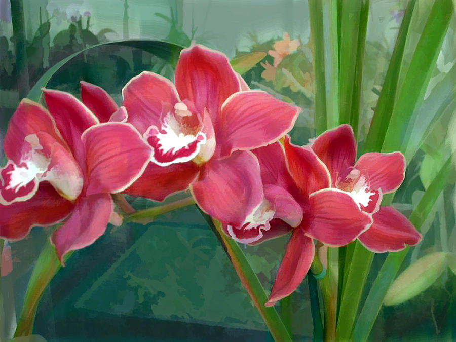 900x675 Crescent Of Rose Cymbidium Orchids Painting By Elaine Plesser - Orchid Painting