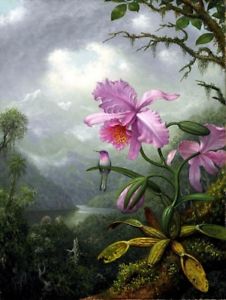 226x300 Hummingbird Perched On Orchid Plant Painting By Martin Heade Art - Orchid Painting
