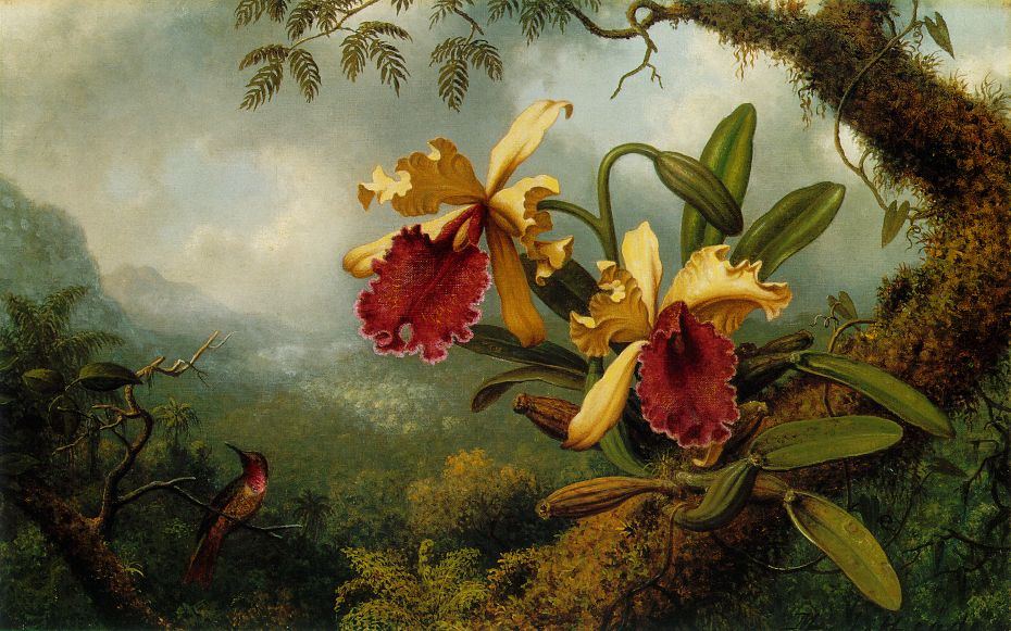 930x581 Martin Johnson Heade Orchids And Hummingbird Painting Framed - Orchid Painting