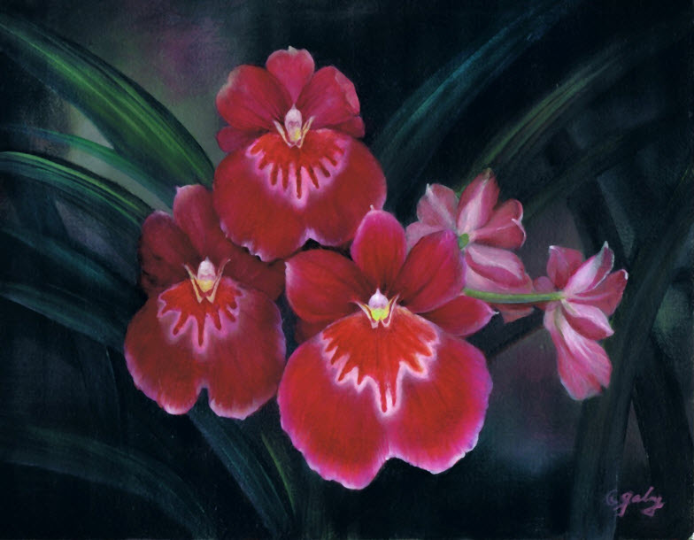784x610 How To Paint Flowersorchidspainting Pattern - Orchid Painting Acrylic