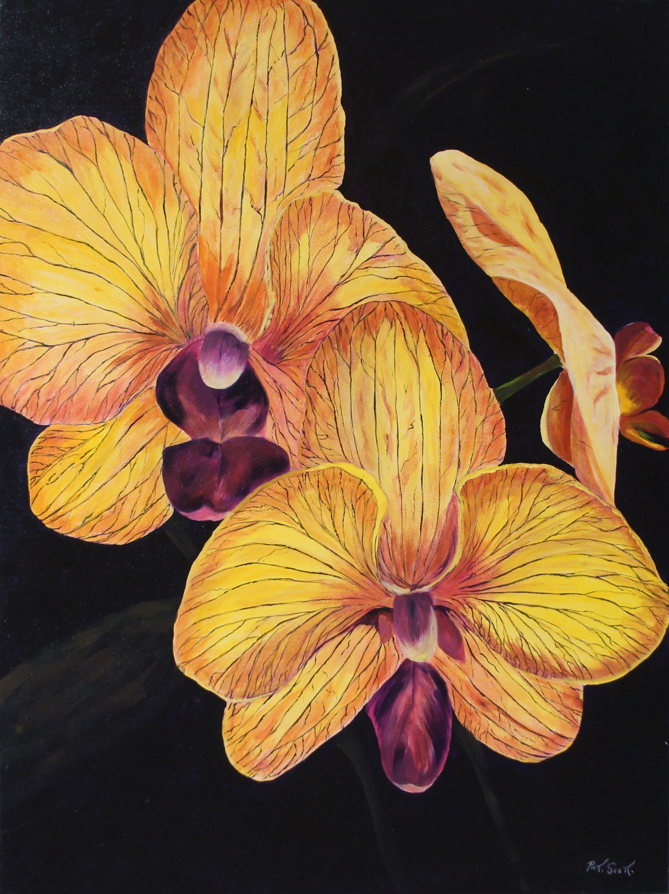 Картина Орхидея