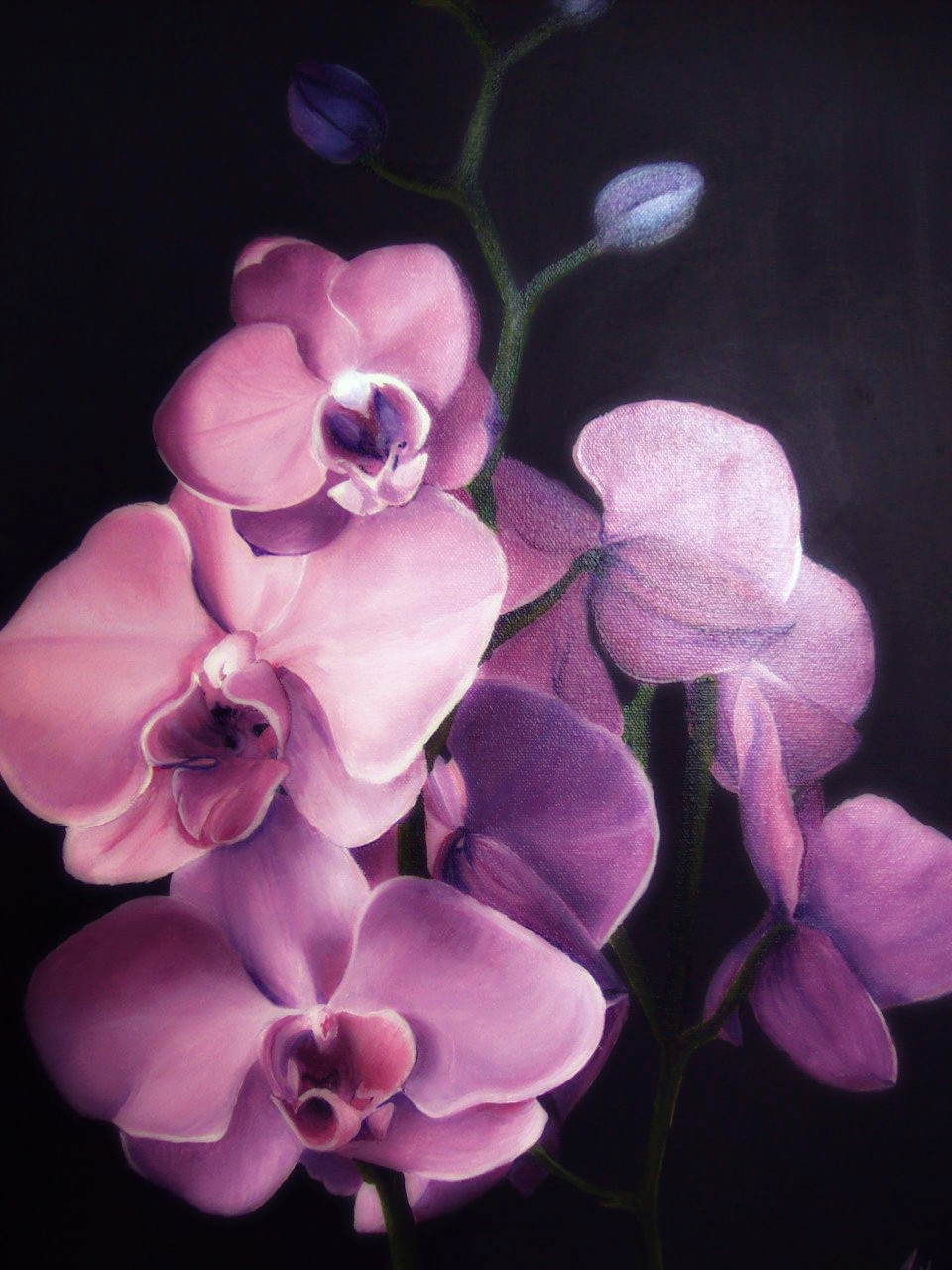 960x1280 Orchid Painting Light Upon Light - Orchid Painting Acrylic