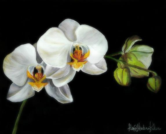 573x462 Acrylic Orchid Painting Custom Art By Alexis - Orchid Painting Acrylic