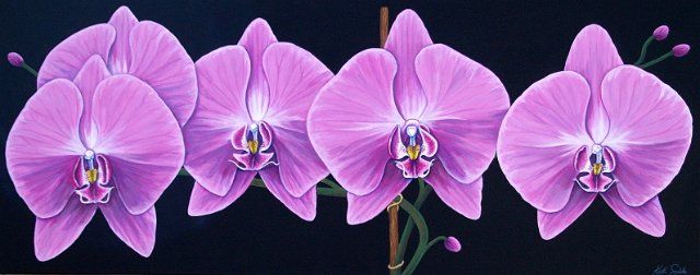 640x252 Orchids Acrylics Orchid, Painted Flowers And Acrylics - Orchid Painting Acrylic