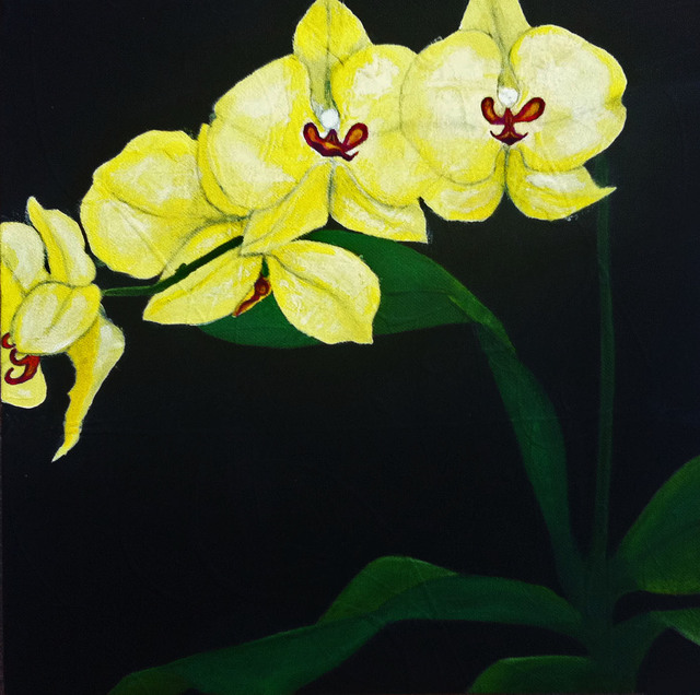 640x636 Elizabeth Bogard Artwork Tres Flores, Orchids Original Painting - Orchid Painting Acrylic