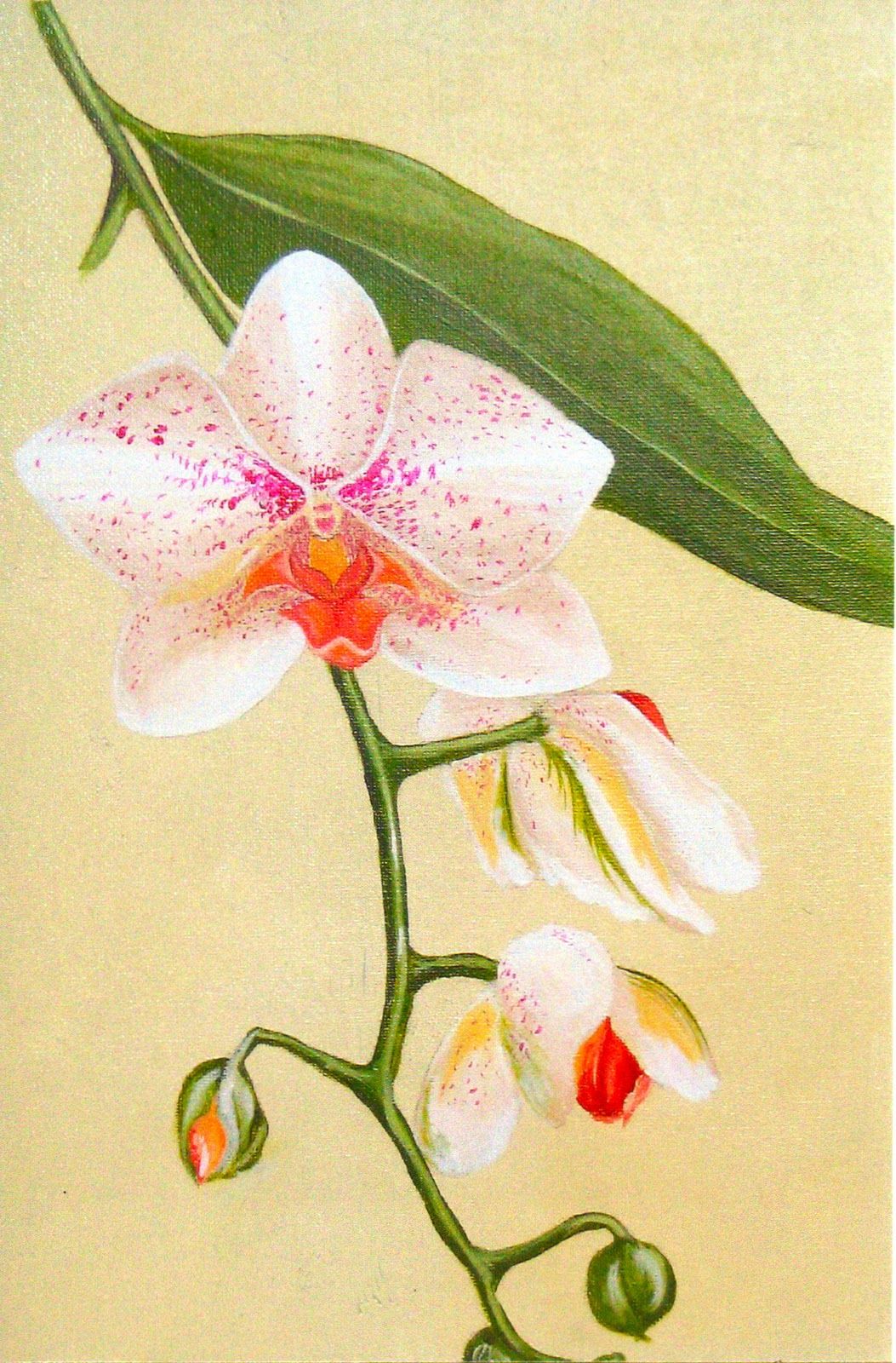 1053x1600 Fresh Paint Orchid Acrylic On Canvas Flowers - Orchid Painting Acrylic