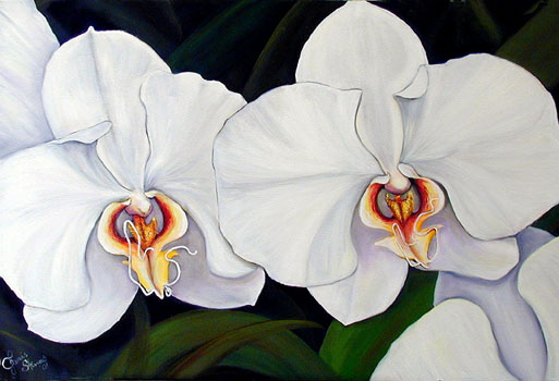 513x350 Orchid Paintings In Oil By Key West Artist Janis Stevens - Orchid White Painting
