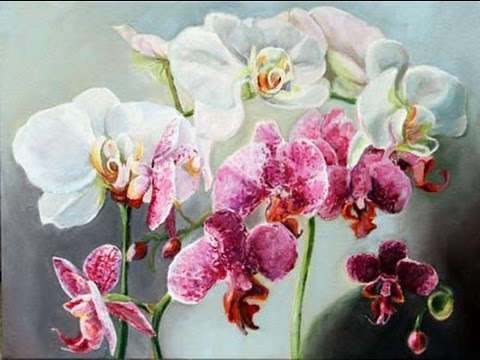 480x360 Pink And White Orchids Painting Time Lapse Kitty Moore - Orchid White Painting
