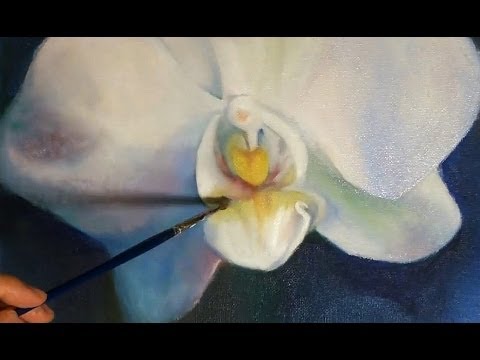 480x360 Speed Painting - Orchid White Painting
