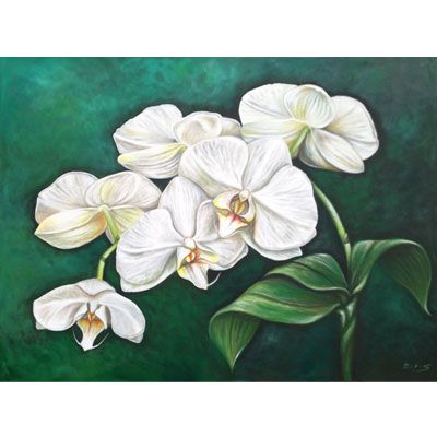 400x400 White Orchid Acrylic Painting On Black Background Custom Art By - Orchid White Painting