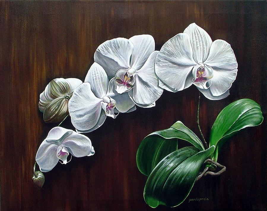 900x713 White Orchids Ii Painting By Joan Garcia - Orchid White Painting
