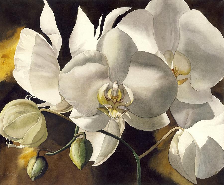 900x743 White Orchids Painting By Alfred Ng - Orchid White Painting
