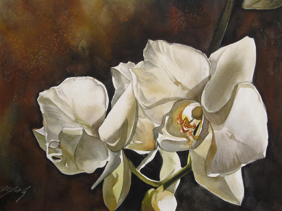 900x675 White Phalaenopsis Orchid Painting By Alfred Ng - Orchid White Painting