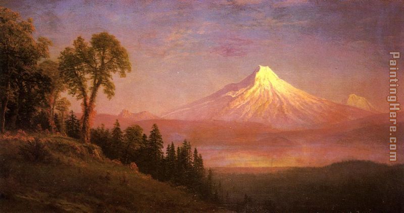 800x422 Albert Bierstadt Mount St. Helens, Columbia River, Oregon Painting - Oregon Painting