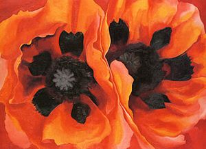 300x218 Oriental Poppies (Painting) - Oriental Poppies Painting