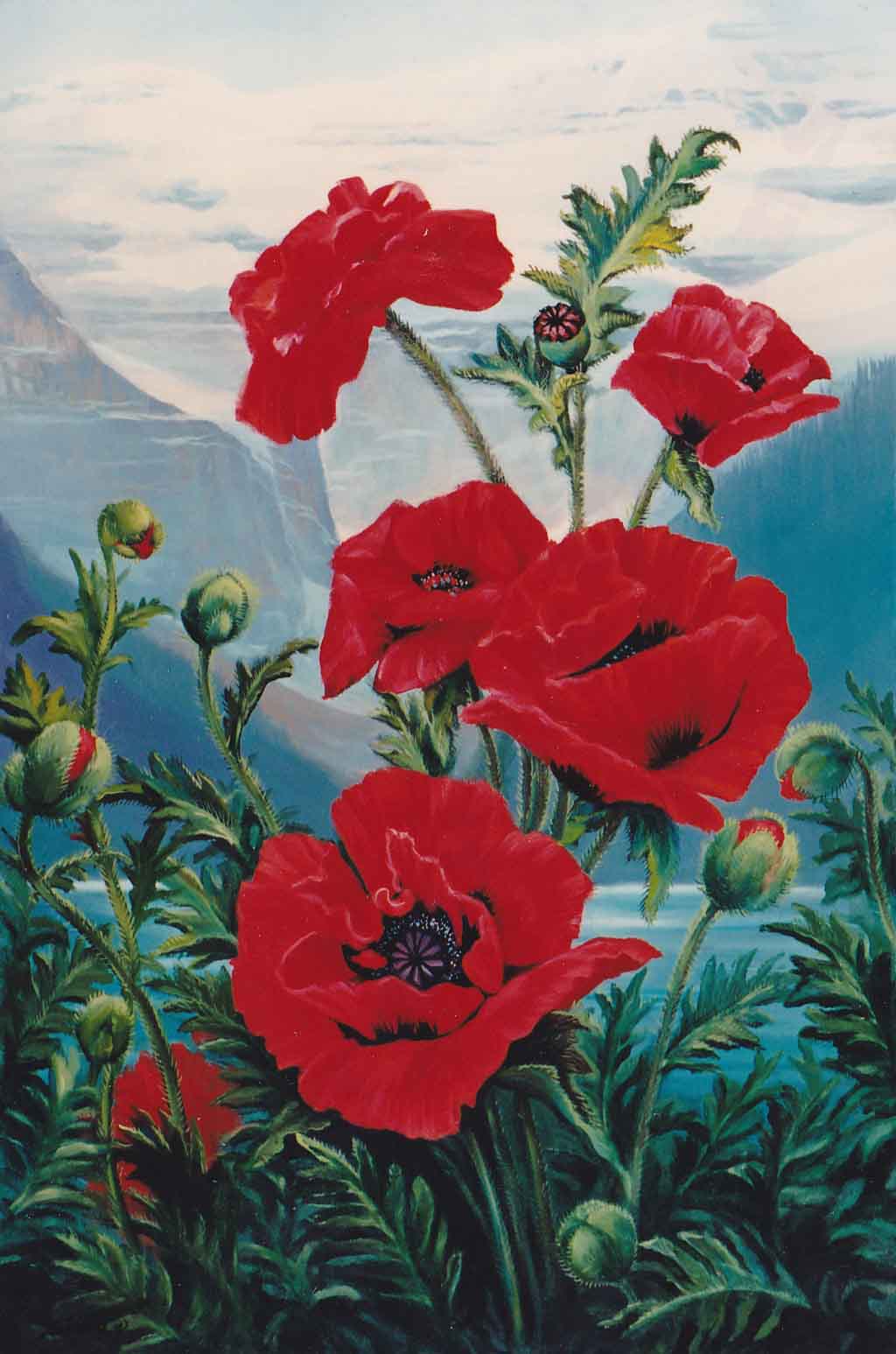 1024x1547 Oriental Poppies - Oriental Poppies Painting