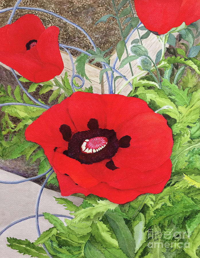 698x900 Oriental Poppies Painting By Bonnie Young - Oriental Poppies Painting